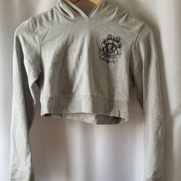 LVL X Gray Crop Top Hoodie - Picture 1 of 7